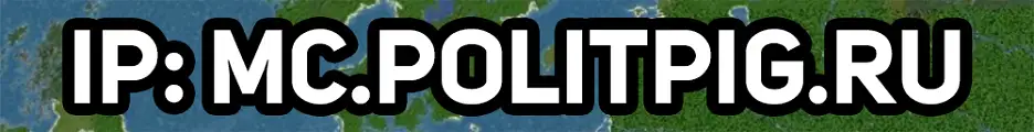 Большой баннер POLITPIG
