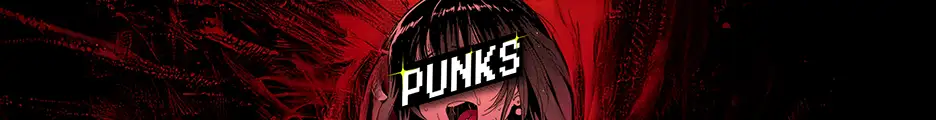 Большой баннер PUNKS
