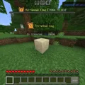 Скриншот номер 10 с сервера LegendCraft